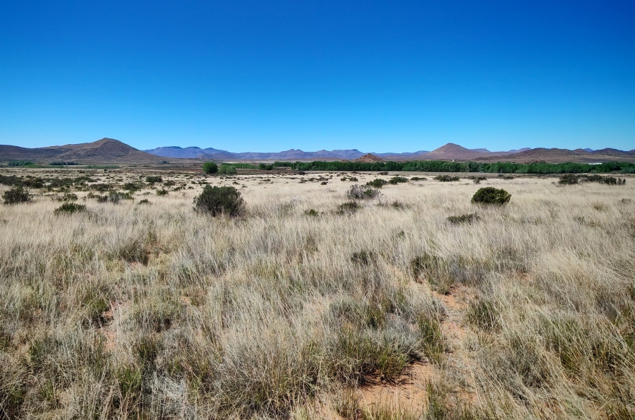 4 Bedroom Property for Sale in Middelburg Rural Eastern Cape